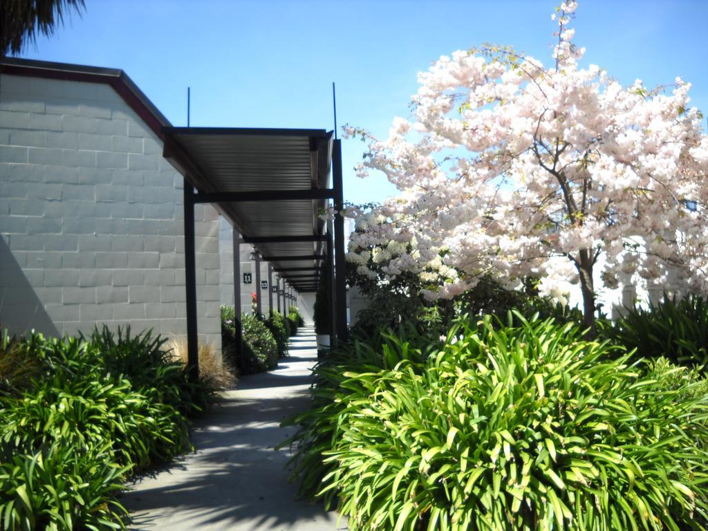 Gothic Heights Motel Christchurch Eksteriør billede